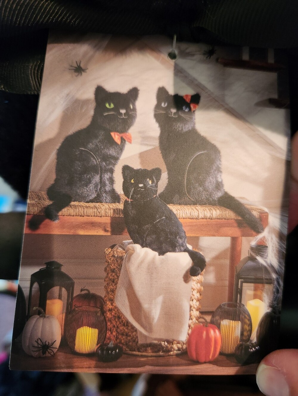 Cynthia Rowley Halloween Black Car Family Pillows NWT